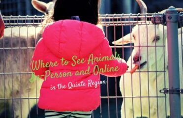 blog-grid-1-410x308